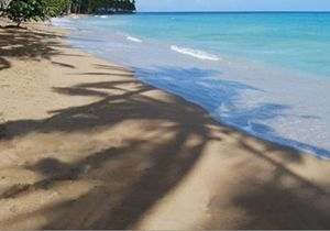 Beach House Walrus Playa Bonita Beach House Walrus Playa Bonita